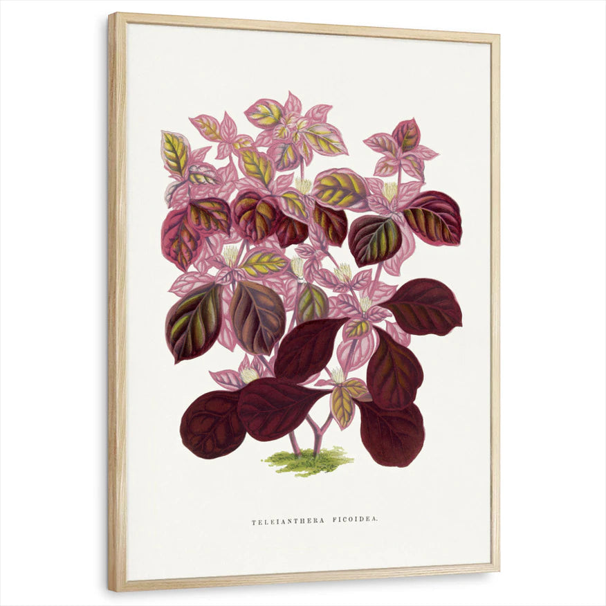 framed-print-natural-wood-standard
