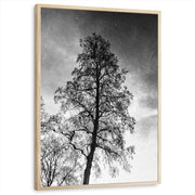 framed-print-natural-wood-standard