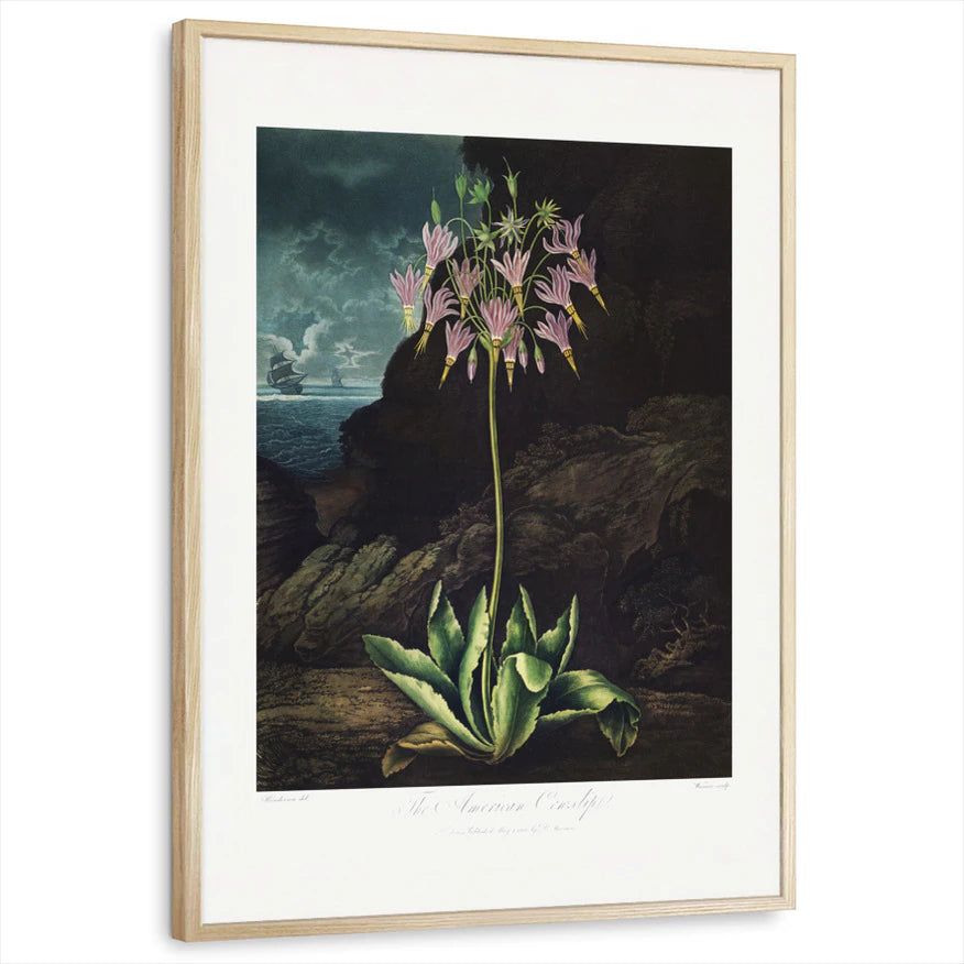 framed-print-natural-wood-standard