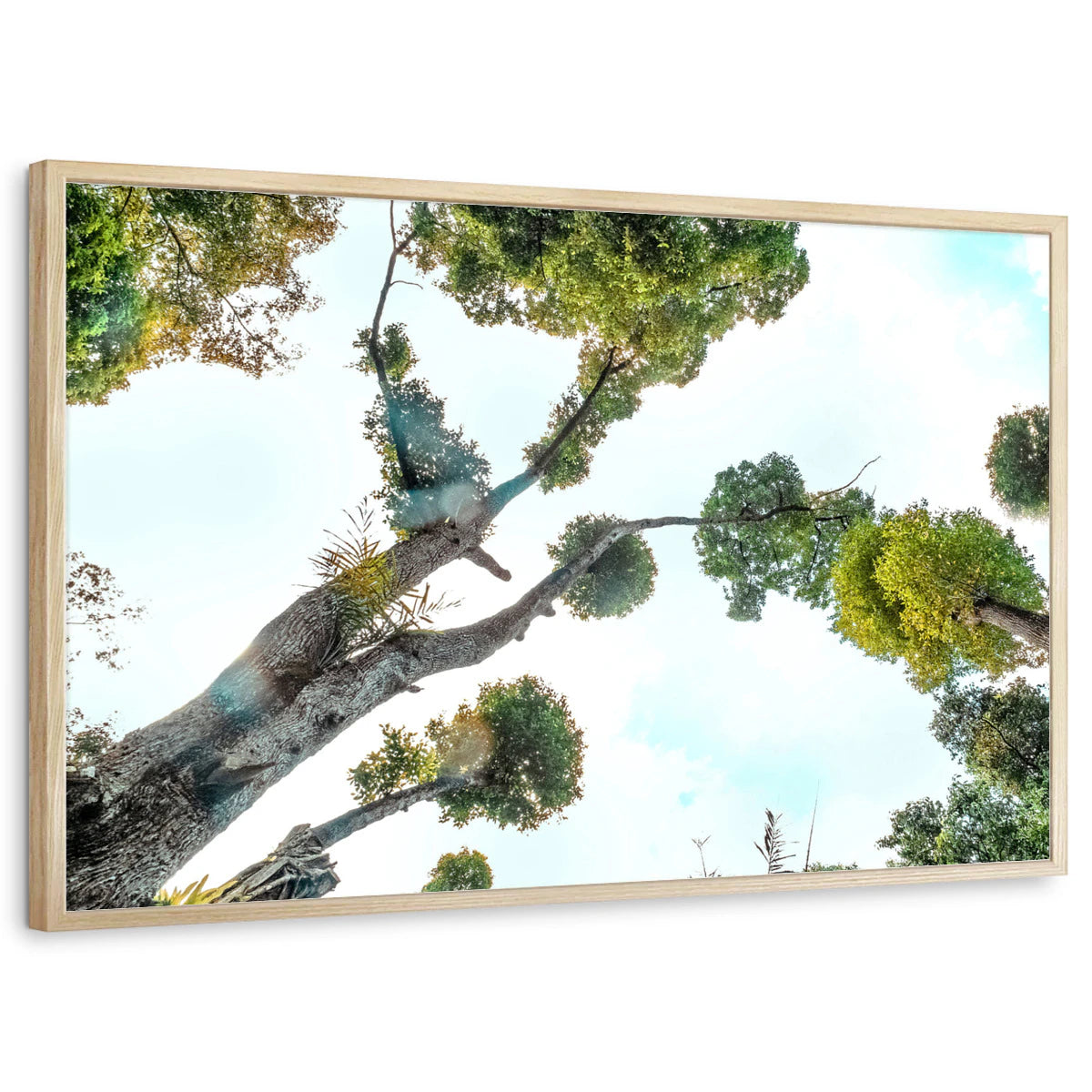 framed-print-natural-wood-standard