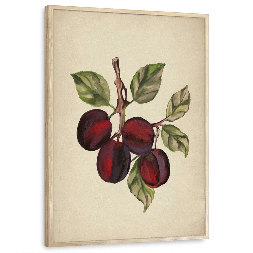 framed-print-natural-wood-standard