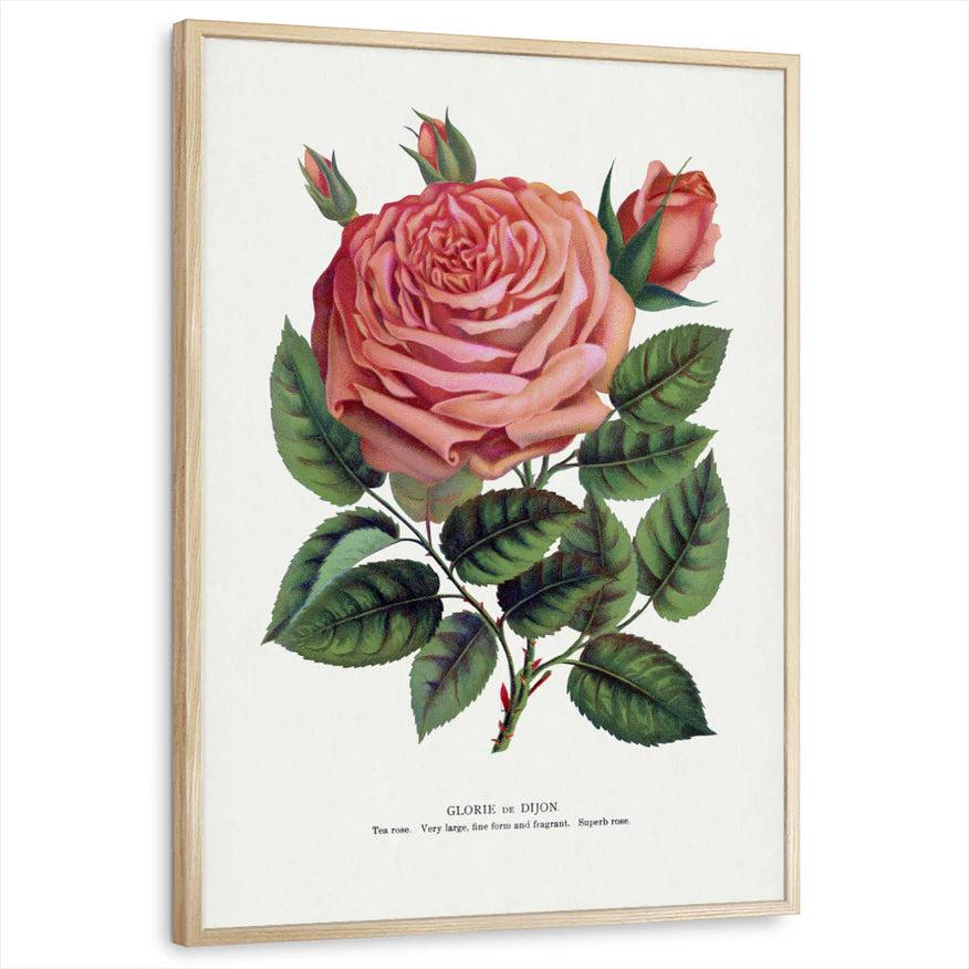 framed-print-natural-wood-standard