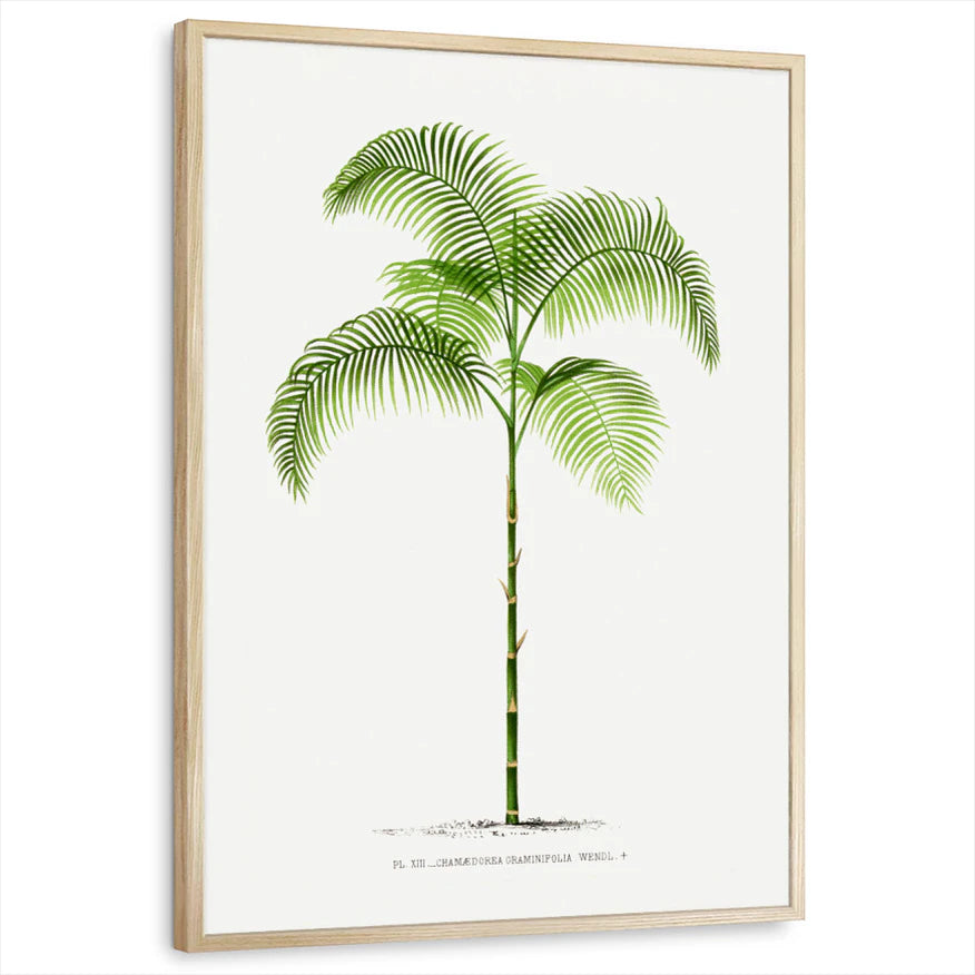 framed-print-natural-wood-standard