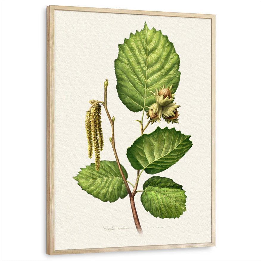 framed-print-natural-wood-standard