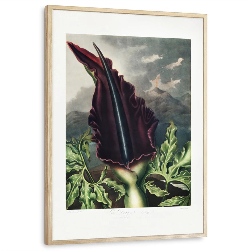 framed-print-natural-wood-standard
