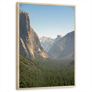 framed-print-natural-wood-standard