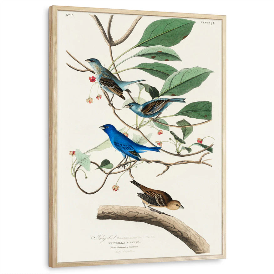 framed-print-natural-wood-standard