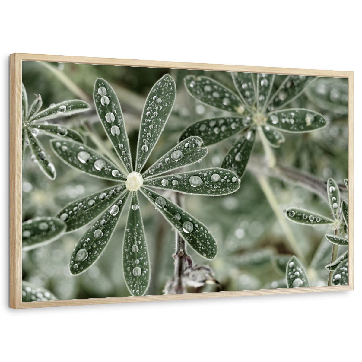 framed-print-natural-wood-standard