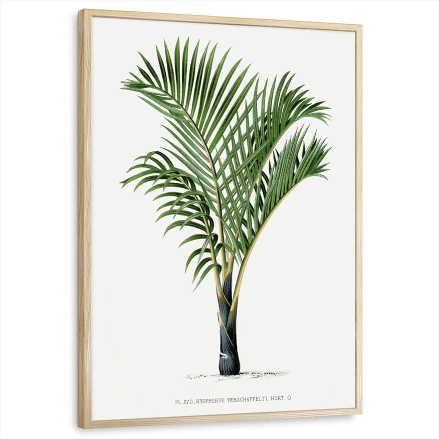 framed-print-natural-wood-standard