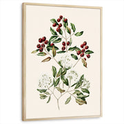 framed-print-natural-wood-standard