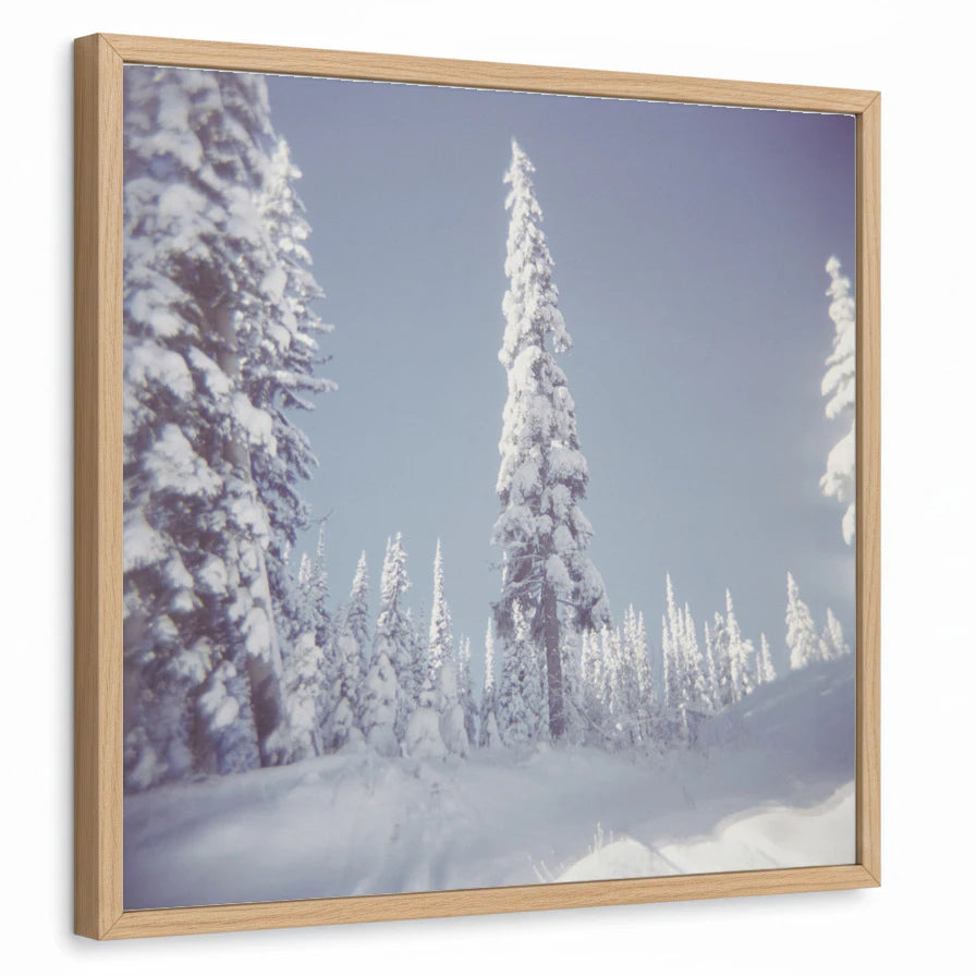 framed-print-natural-wood-standard