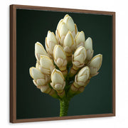 framed-print-brown-walnut-standard