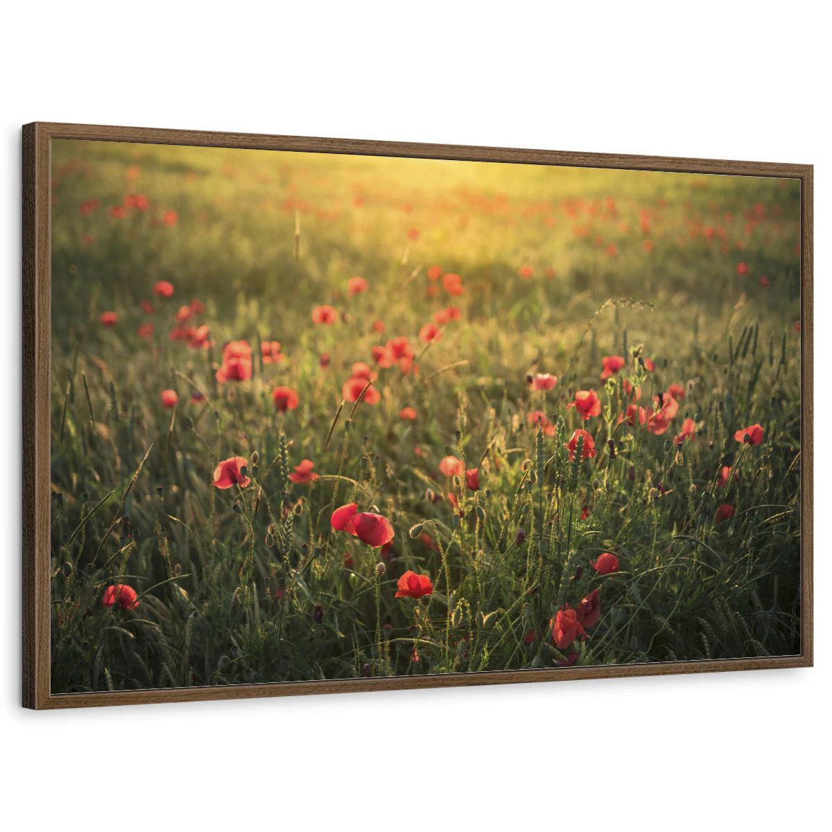 framed-print-brown-walnut-standard