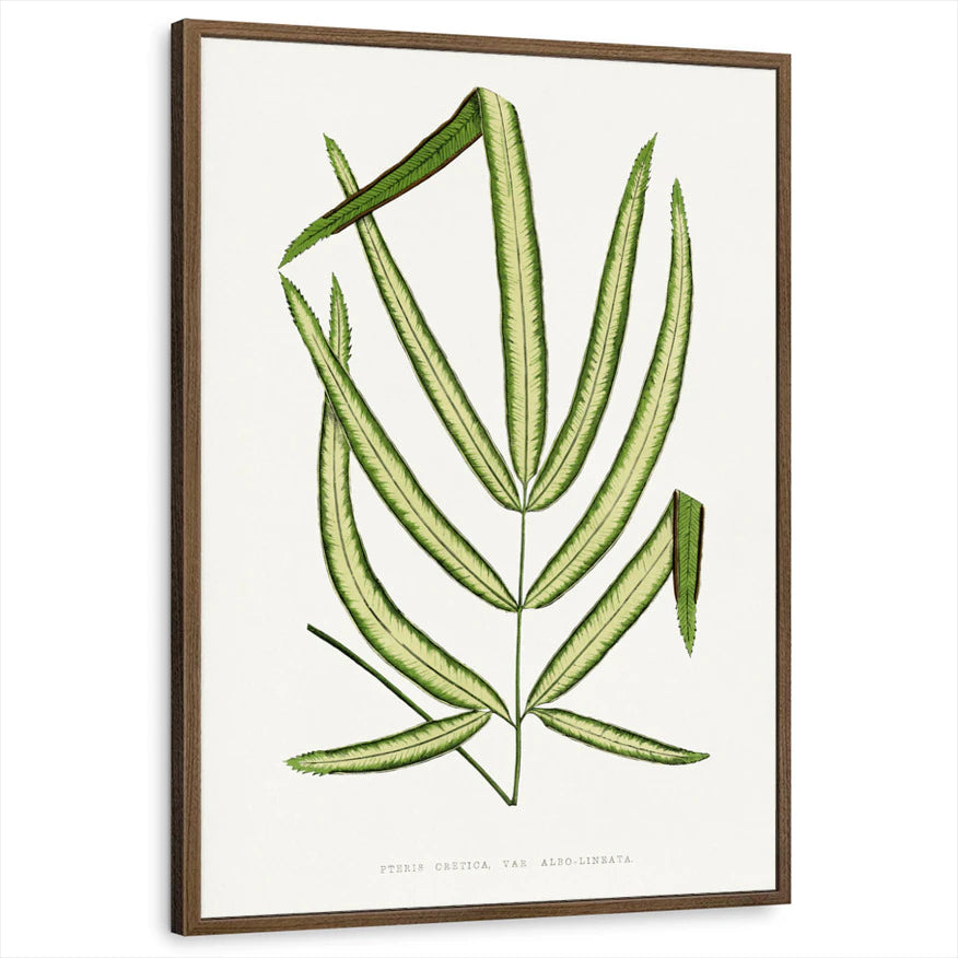 framed-print-brown-walnut-standard