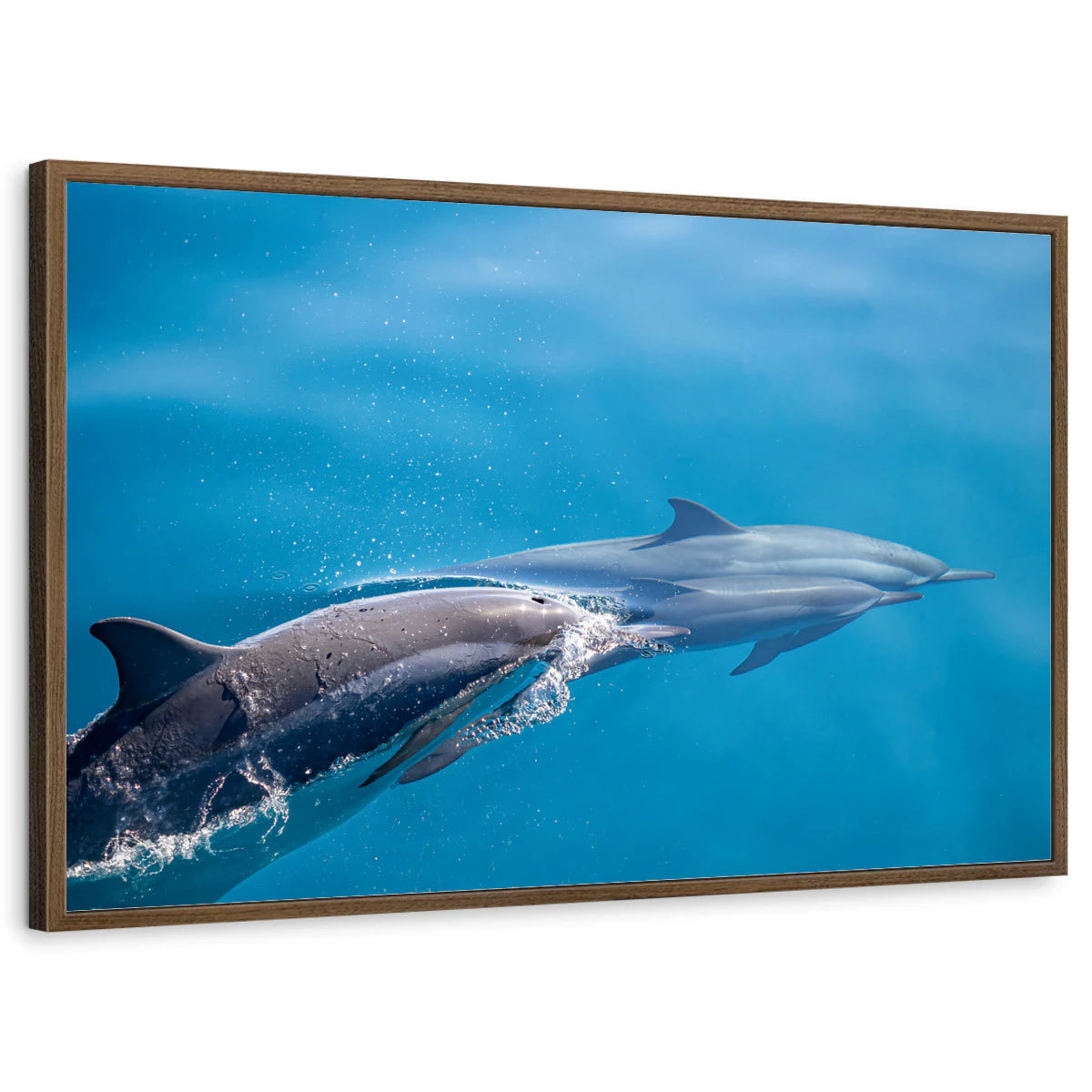 framed-print-brown-walnut-standard