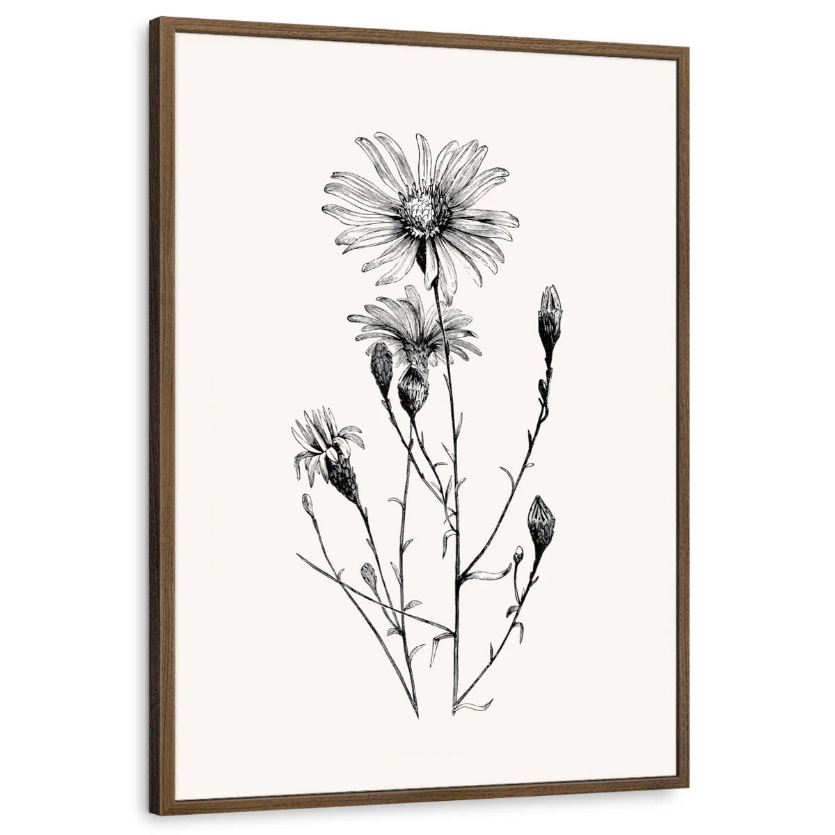 framed-print-brown-walnut-standard