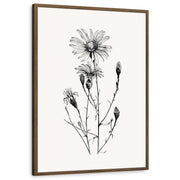 framed-print-brown-walnut-standard