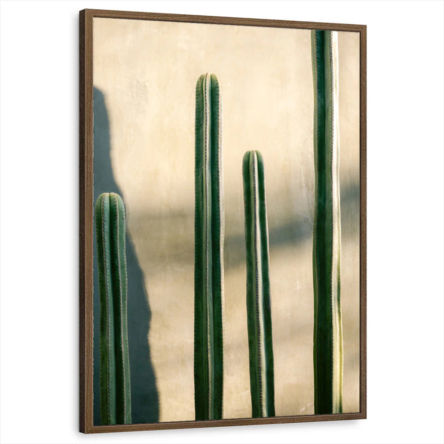 framed-print-brown-walnut-standard
