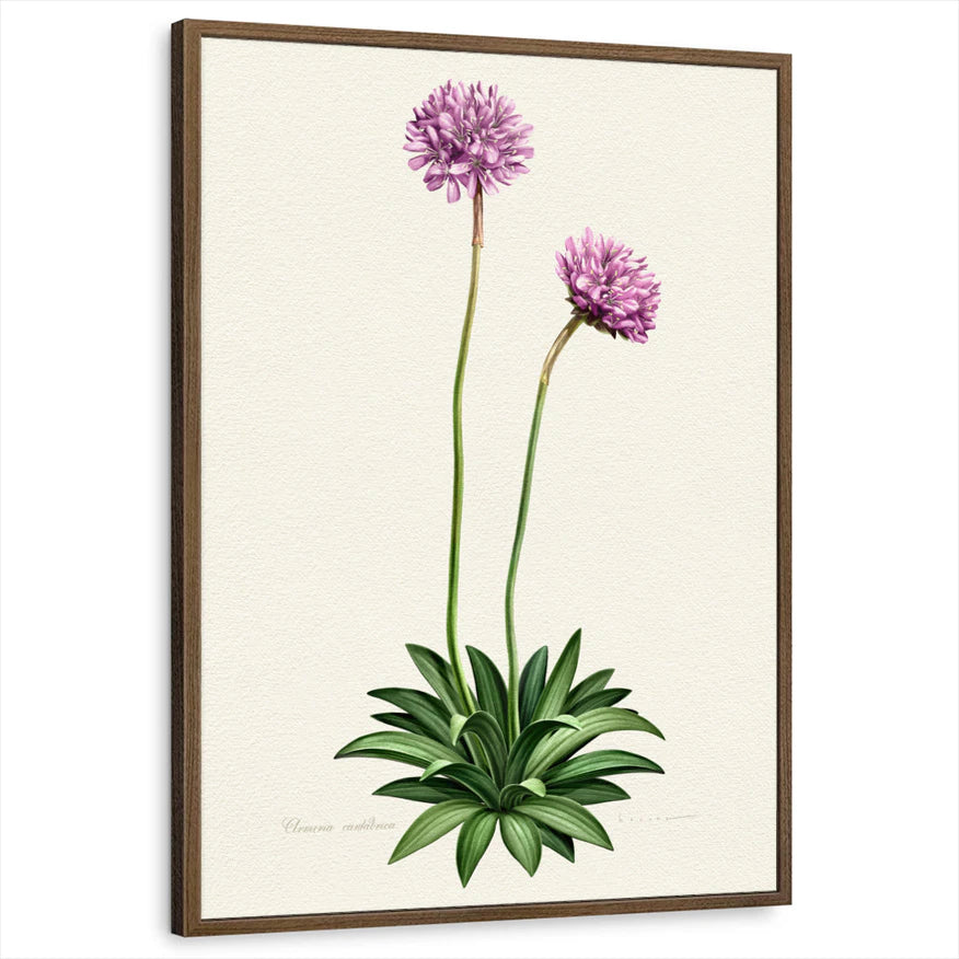 framed-print-brown-walnut-standard