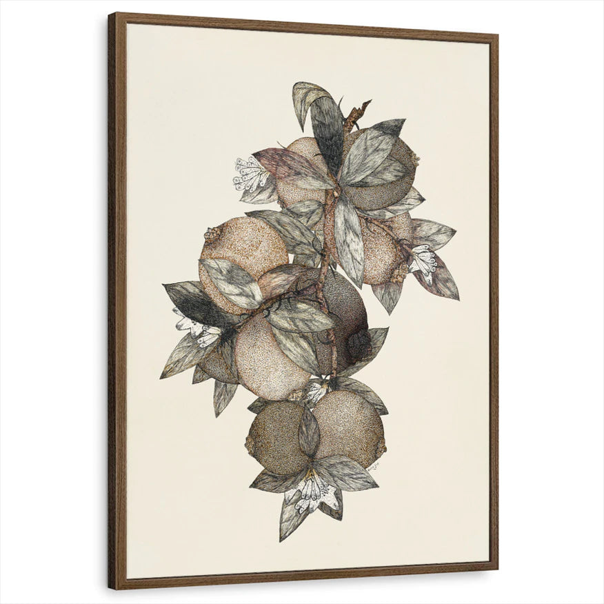 framed-print-brown-walnut-standard