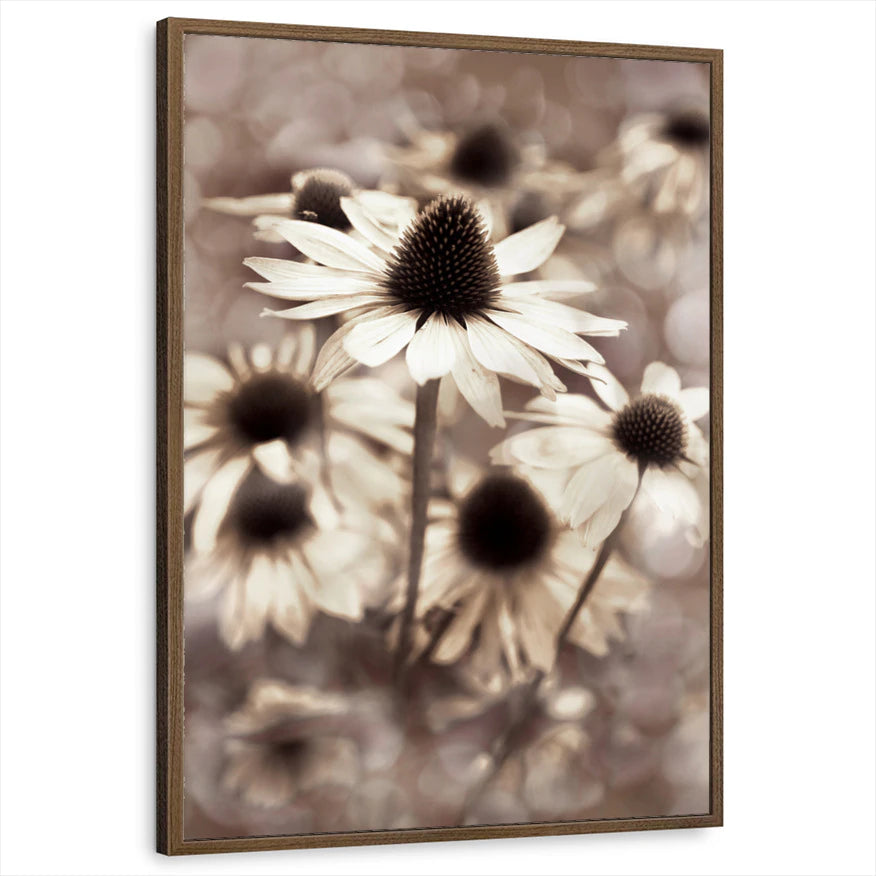 framed-print-brown-walnut-standard