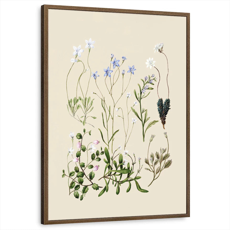 framed-print-brown-walnut-standard