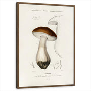 framed-print-brown-walnut-standard