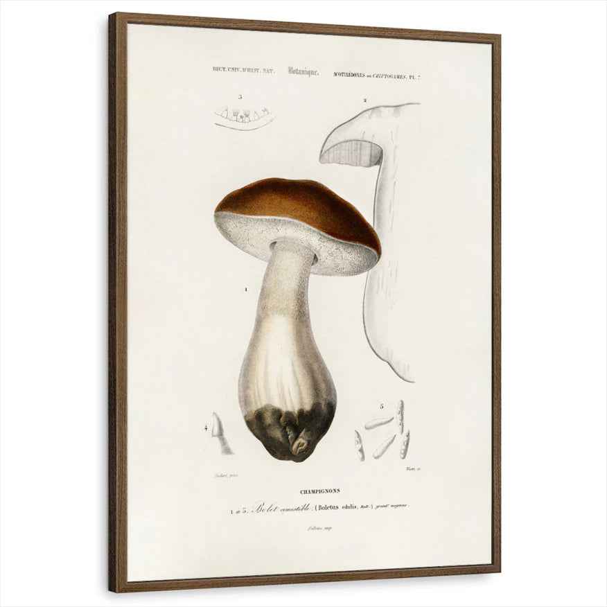 framed-print-brown-walnut-standard