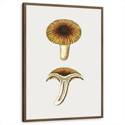 framed-print-brown-walnut-standard