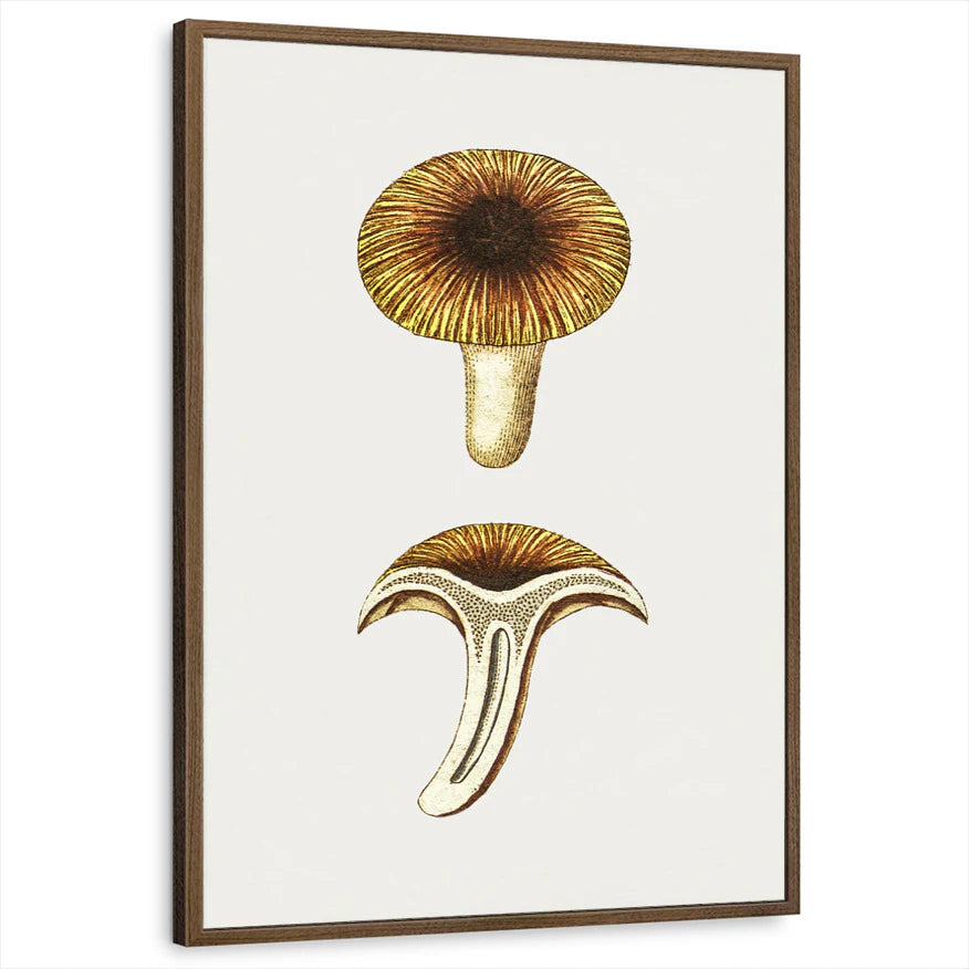 framed-print-brown-walnut-standard