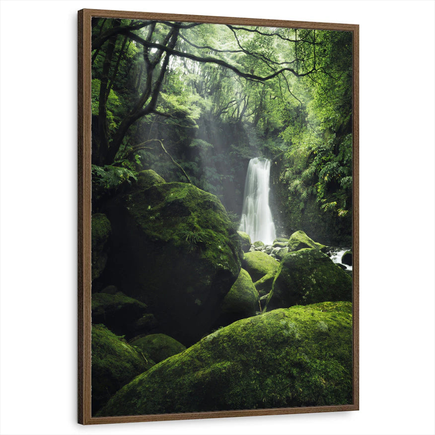 framed-print-brown-walnut-standard