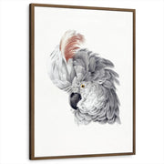 framed-print-brown-walnut-standard