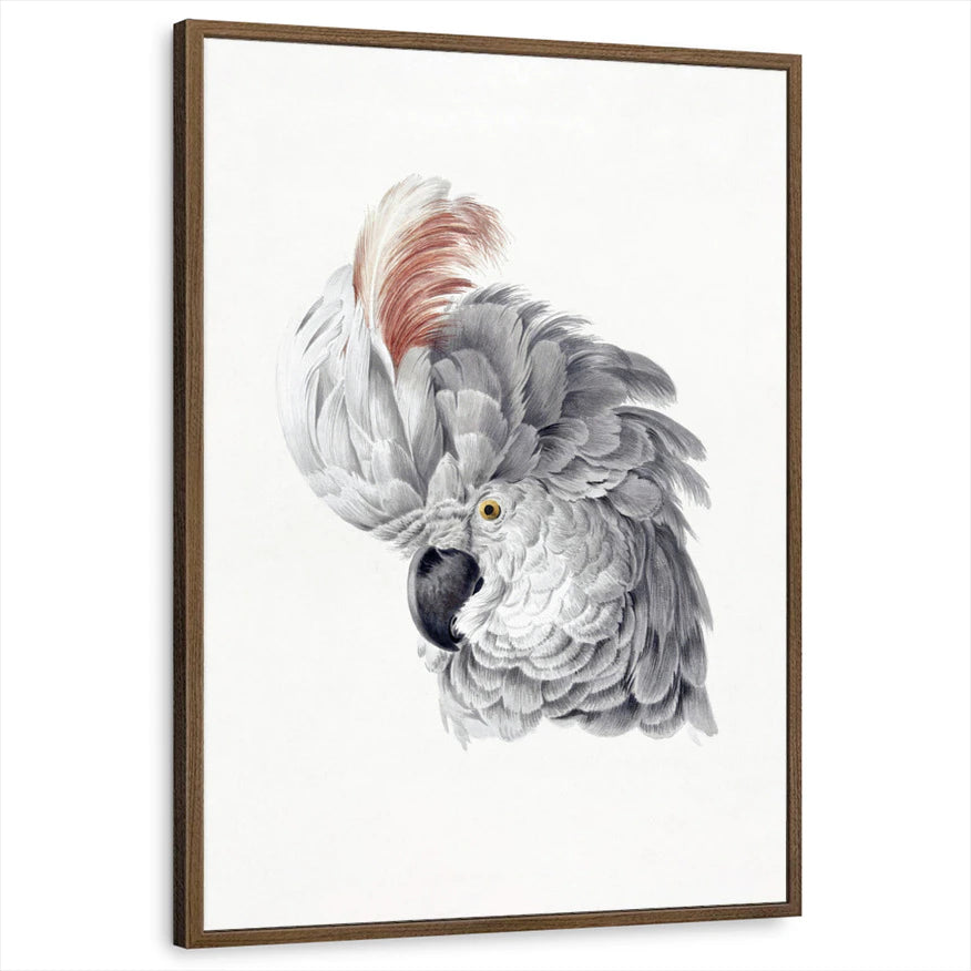 framed-print-brown-walnut-standard