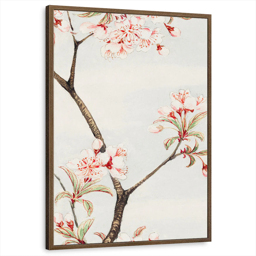 framed-print-brown-walnut-standard
