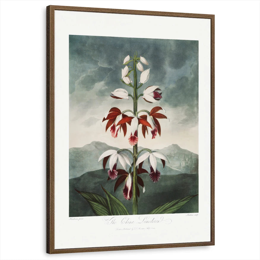 framed-print-brown-walnut-standard