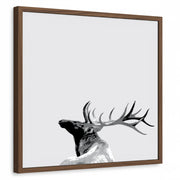 framed-print-brown-walnut-standard