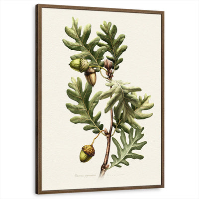 framed-print-brown-walnut-standard