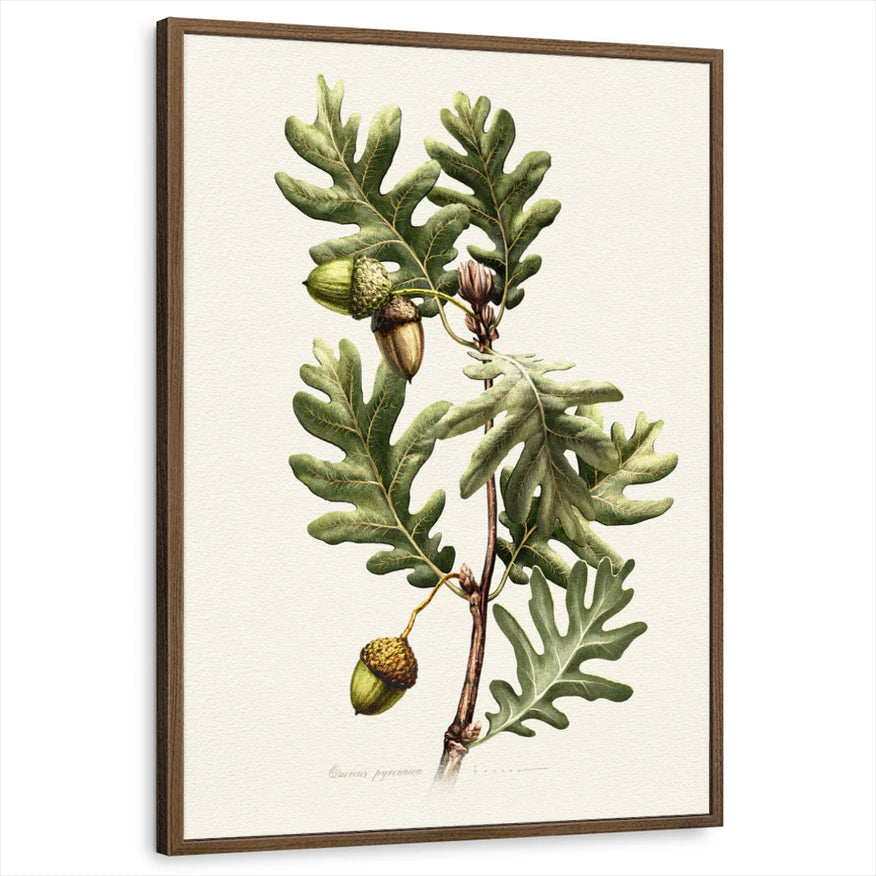 framed-print-brown-walnut-standard