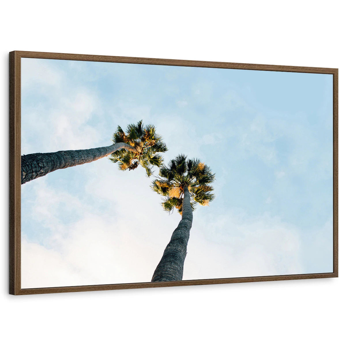 framed-print-brown-walnut-standard