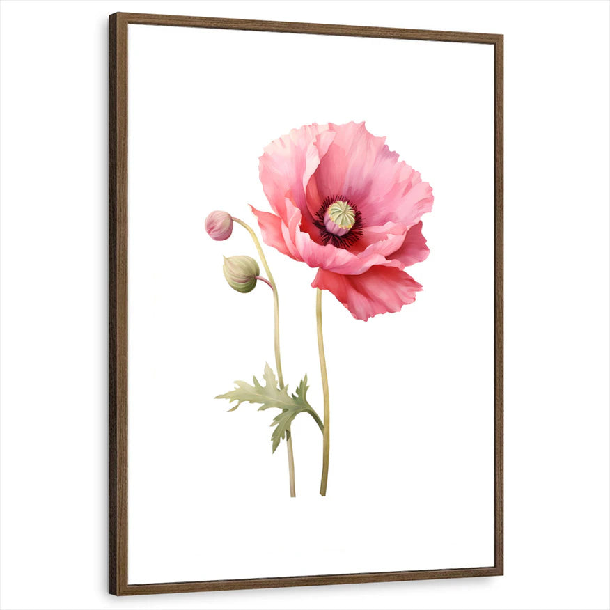 framed-print-brown-walnut-standard