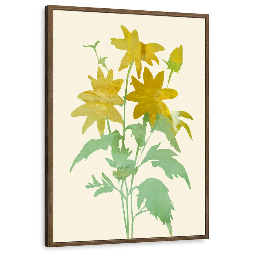 framed-print-brown-walnut-standard