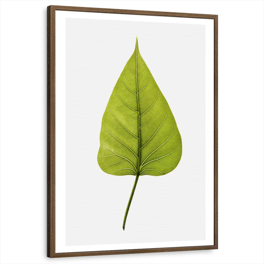 framed-print-brown-walnut-standard