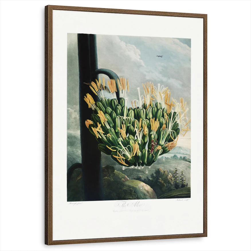 framed-print-brown-walnut-standard
