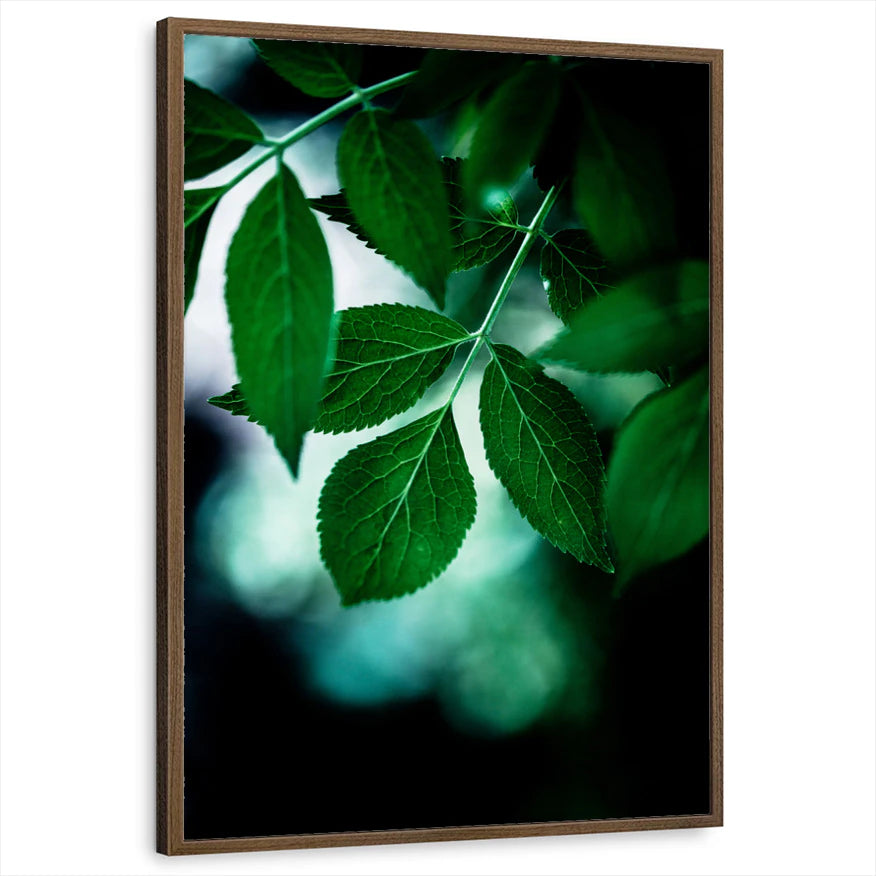 framed-print-brown-walnut-standard