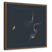 framed-print-brown-walnut-standard