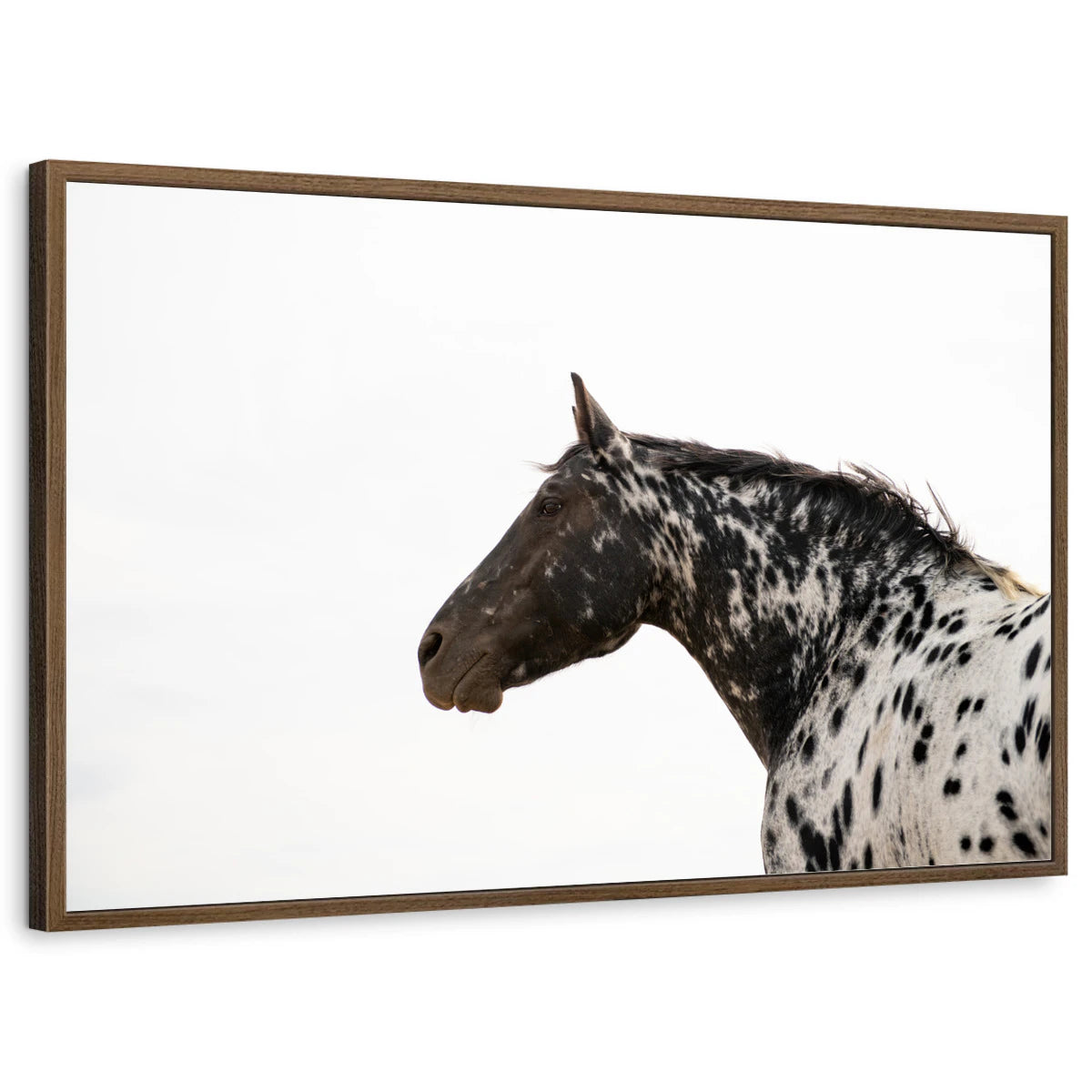 framed-print-brown-walnut-standard