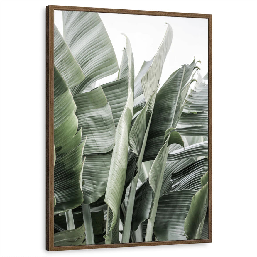 framed-print-brown-walnut-standard