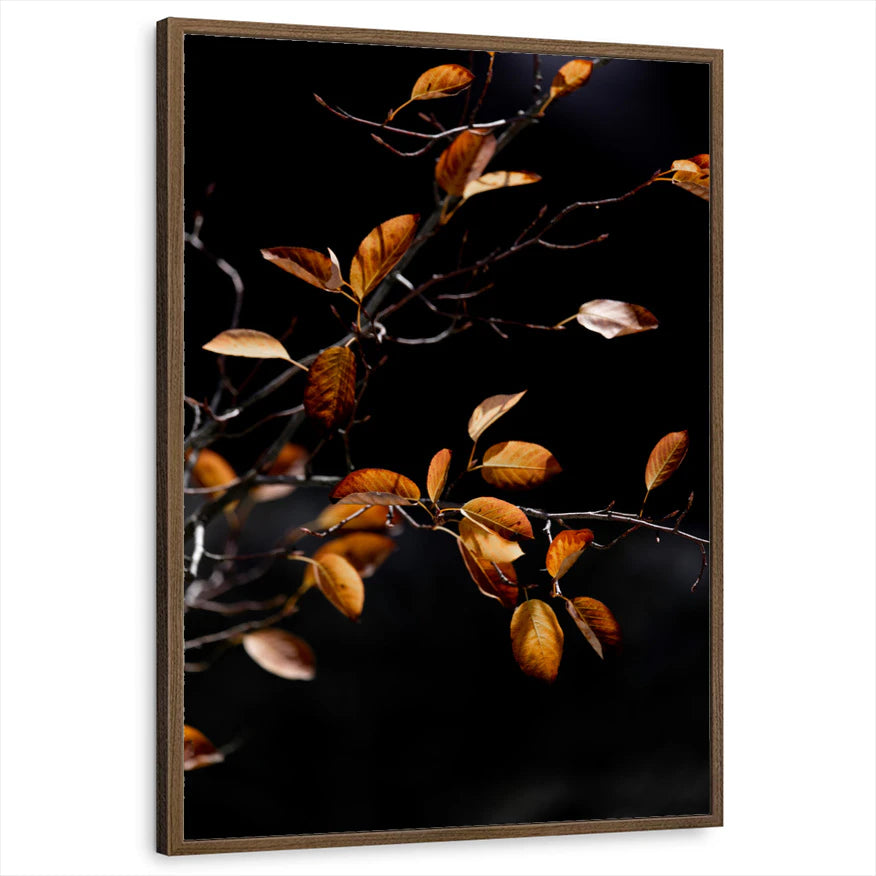 framed-print-brown-walnut-standard