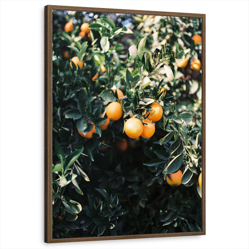 framed-print-brown-walnut-standard