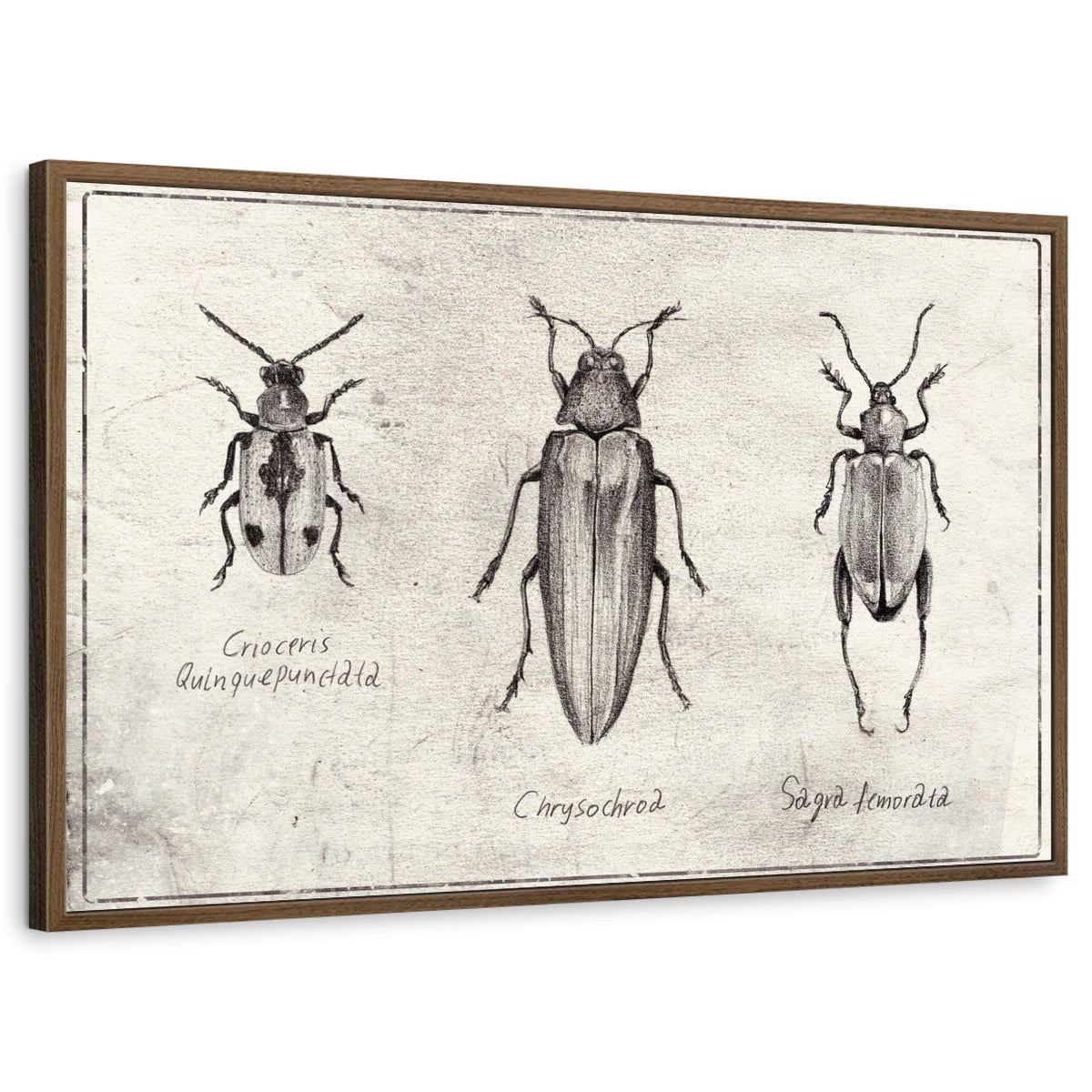 framed-print-brown-walnut-standard